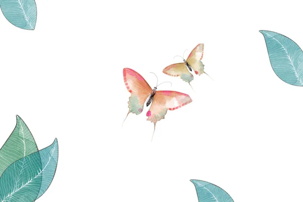 Κλείστε Την Εικόνα Των Πεταλούδων Και Των Φύλλων — Φωτογραφία Αρχείου