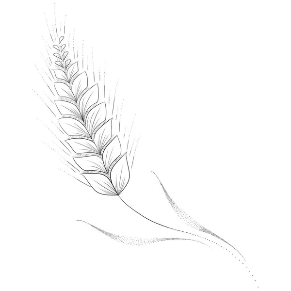 Nahaufnahme Der Weizenpflanze Illustration — Stockfoto