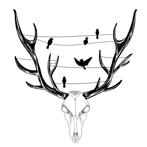 Deer Skull Sketch Artwork Creative Idea Innovative Art Concept Illustration — Stock Photo, Image