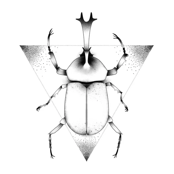 Beetle Szkic Kompozycji Kreatywny Pomysł Innowacyjna Sztuka Ilustracja Koncepcyjna Projekt — Zdjęcie stockowe