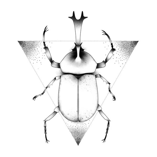 딱정벌레 스케치 창조적 아이디어 혁신적인 일러스트 레이션 디자인 — 스톡 사진