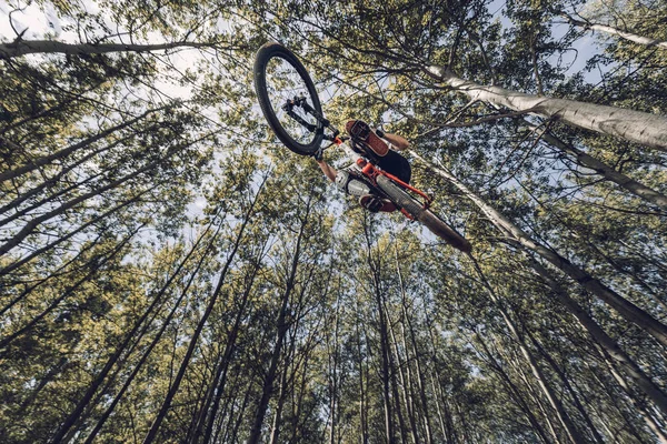 Вид Снизу Спортсмена Прыгающего Велосипеда Лесу — стоковое фото
