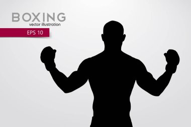 Boks siluet. Boks. Vektör çizim