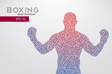 Boks siluet. Boks. Vektör çizim