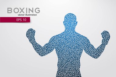 Boks siluet. Boks. Vektör çizim