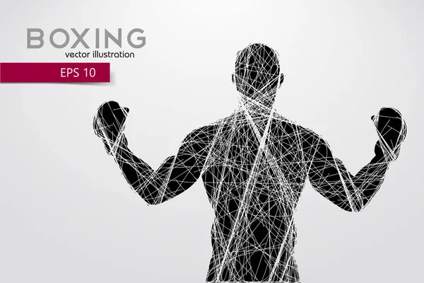 Boks siluet. Boks. Vektör çizim