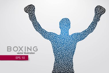 Boks siluet. Boks. Vektör çizim