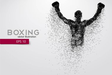 Boxing silhouette. Boxing. Vector illustration clipart