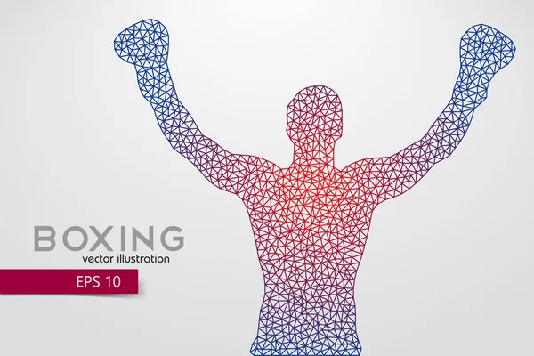 Boks siluet. Boks. Vektör çizim
