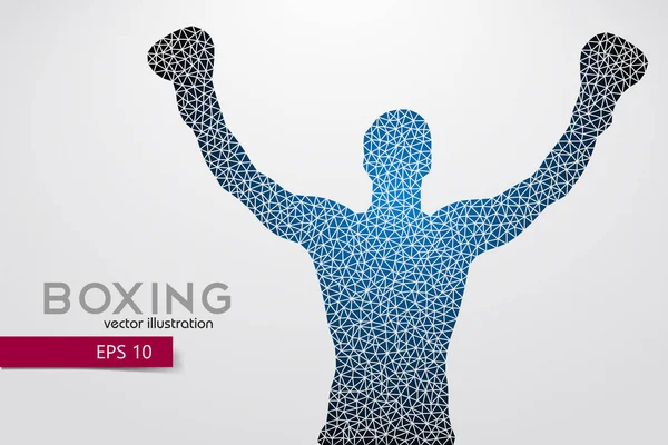 Boks siluet. Boks. Vektör çizim