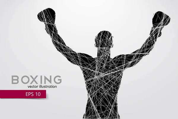 Boks siluet. Boks. Vektör çizim