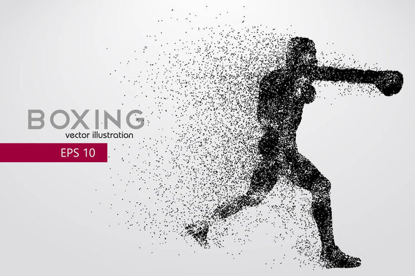 Силуэт бокса. Бокс. Векторная иллюстрация
