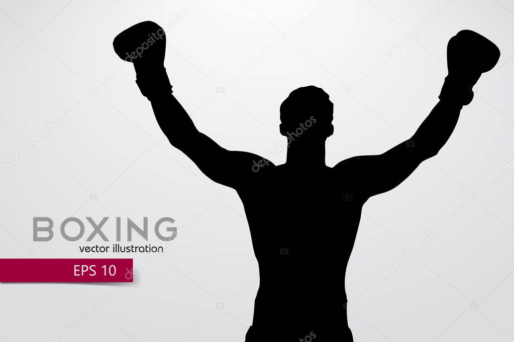 Boxing silhouette. Boxing. Vector illustration