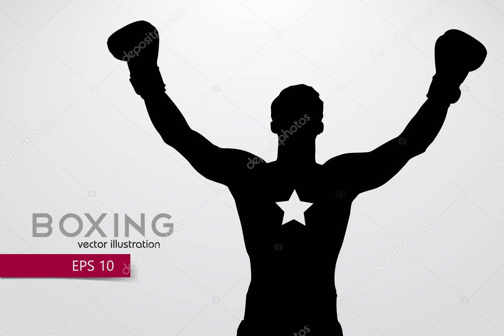 Boxing silhouette. Boxing. Vector illustration