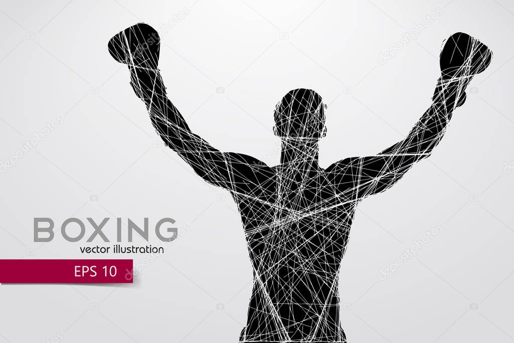 Boxing silhouette. Background and text on a separate layer, color can be changed in one click. Boxing. Vector illustration