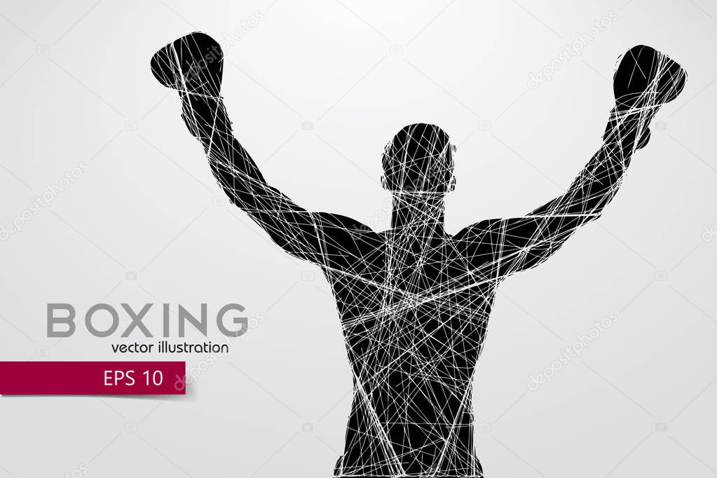 Boxing silhouette. Boxing. Vector illustration