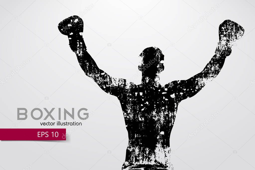 Boxing silhouette. Background and text on a separate layer, color can be changed in one click. Boxing. Vector illustration