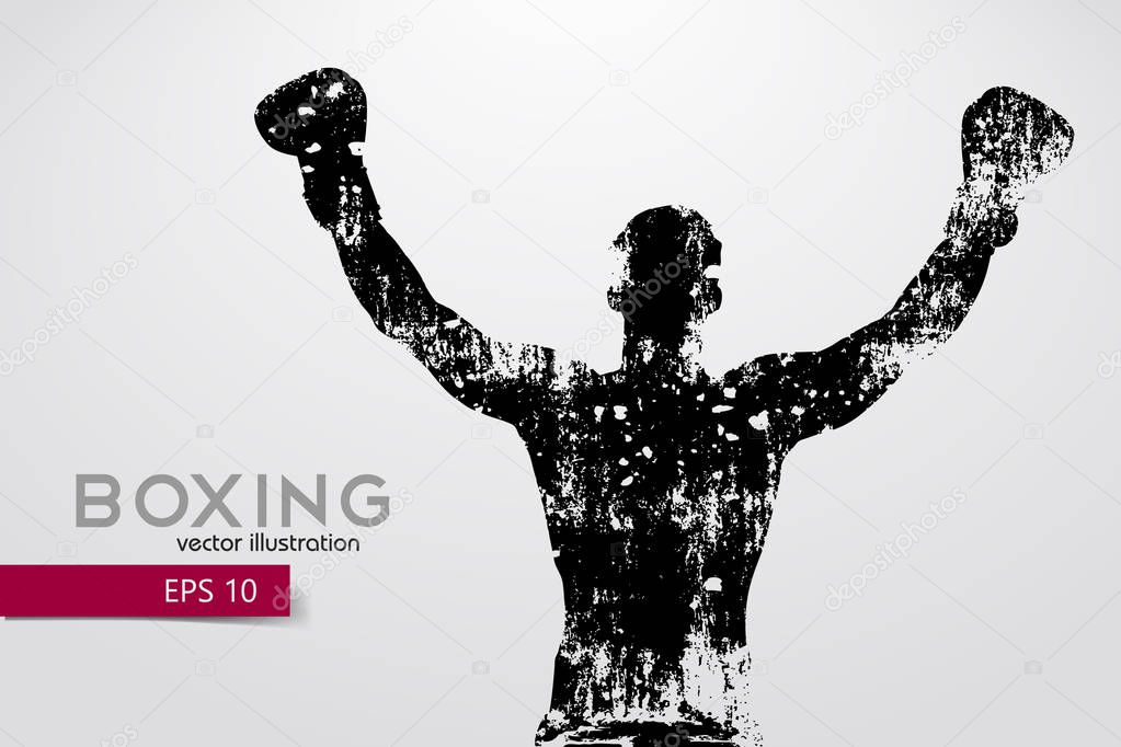 Boxing silhouette. Boxing. Vector illustration