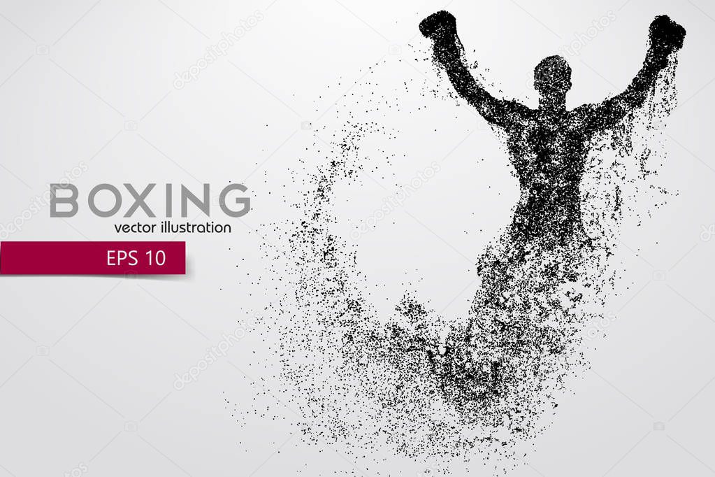 Boxing silhouette. Boxing. Vector illustration