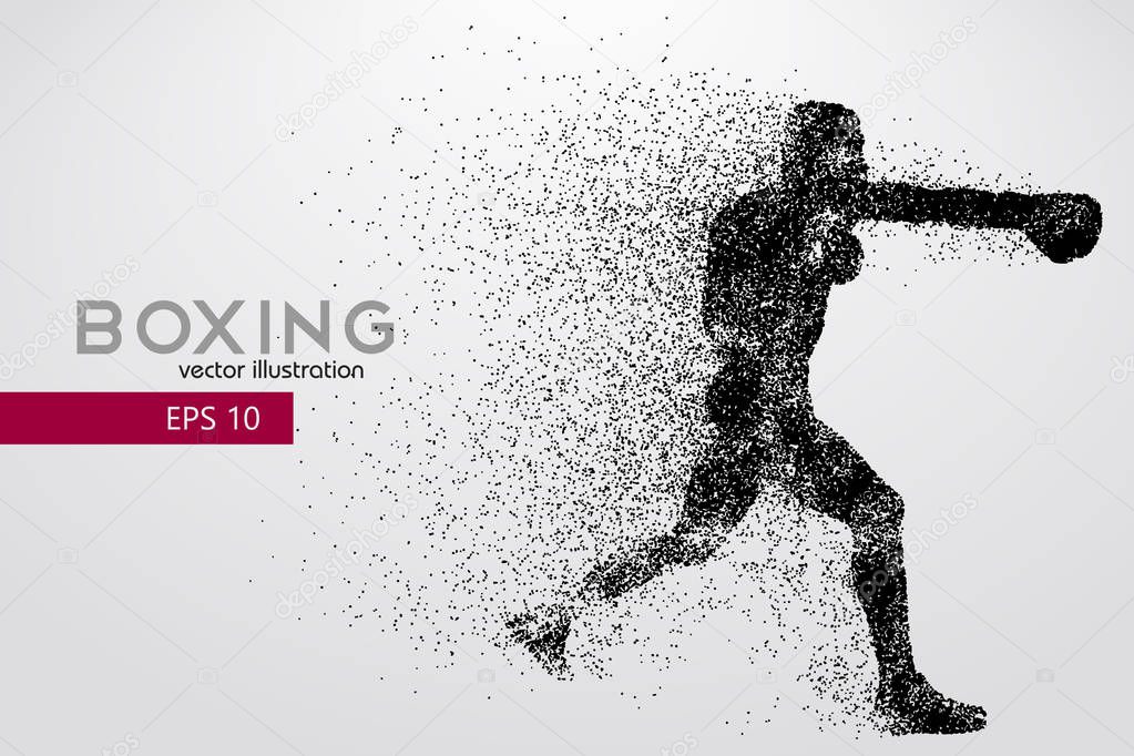 Boxing silhouette. Background and text on a separate layer, color can be changed in one click. Boxing. Vector illustration