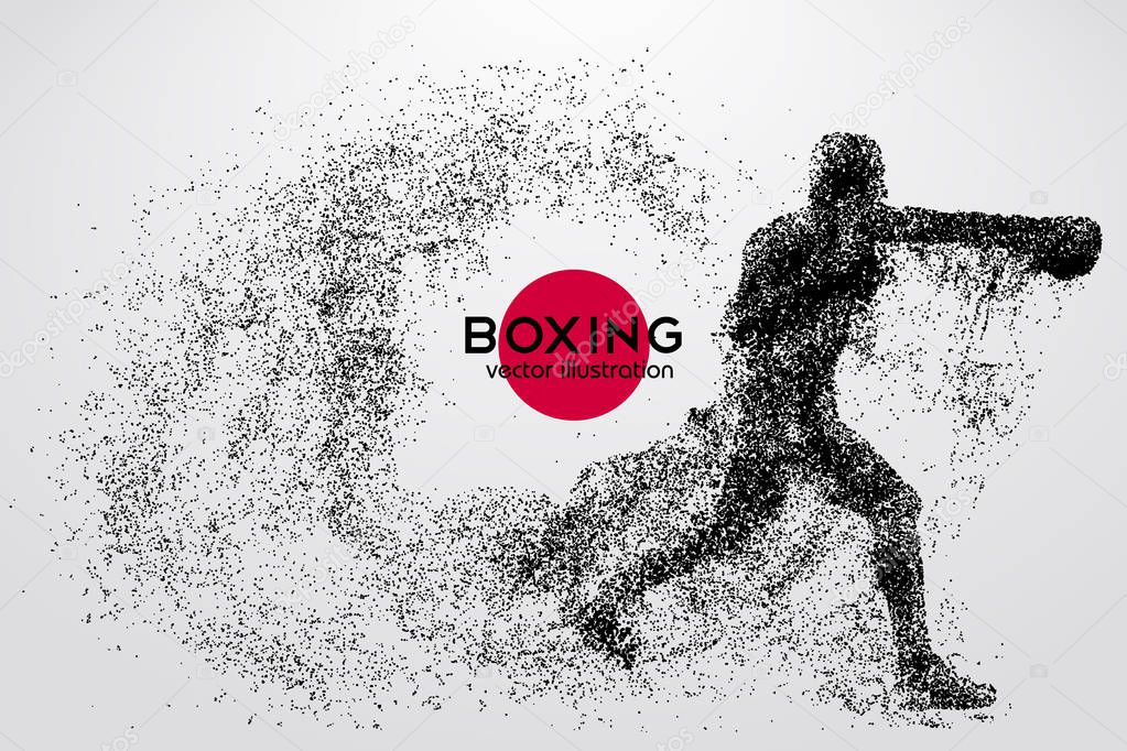 Boxing silhouette. Boxing. Vector illustration