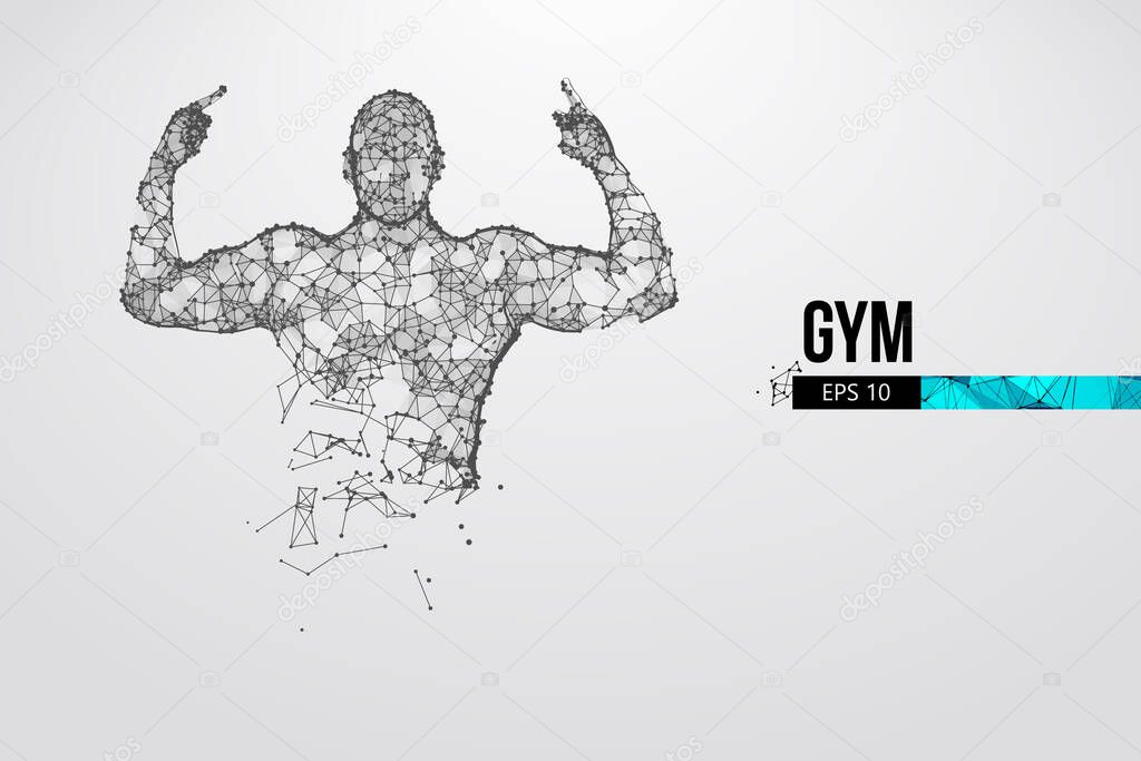 Abstract silhouette of a wireframe bodybuilder. Man on the white background. Gym. Convenient organization of eps file. Vector illustration. Thanks for watching