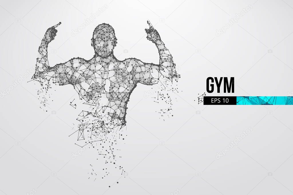 Abstract silhouette of a wireframe bodybuilder. Man on the white background. Gym. Convenient organization of eps file. Vector illustration. Thanks for watching