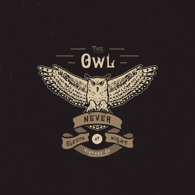 Baykuş. El yapımı