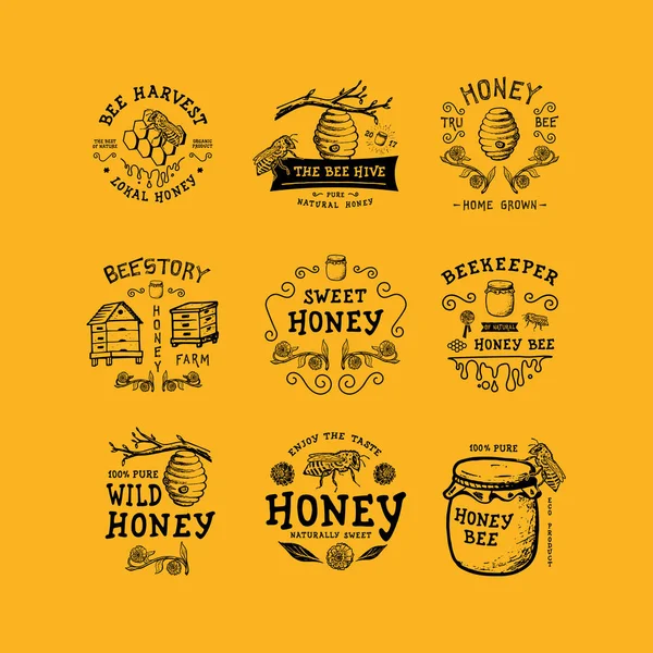 Conjunto de insignia Honey — Vector de stock