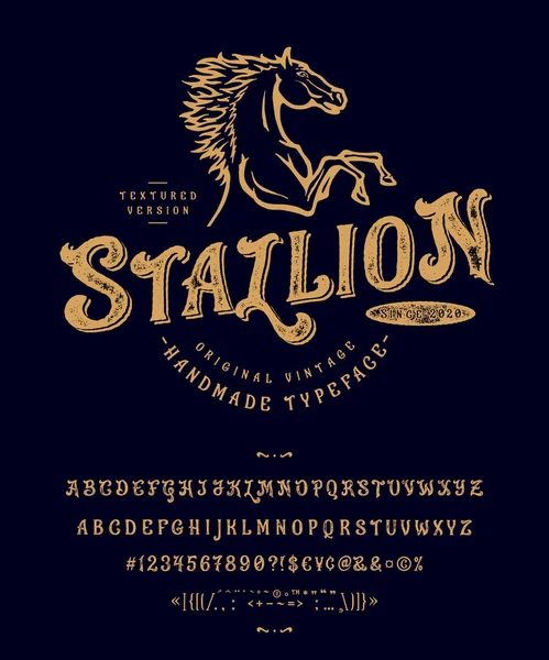 Czcionka Stallion. Vintage projekt kroju pisma — Wektor stockowy