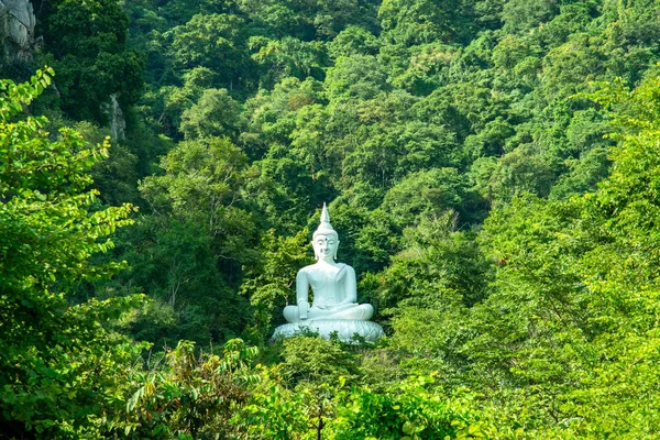 Bouddha Blanc Image Sur Colline Entourée Arbres Thaïlande — Photo