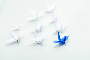 Kırmızı kuş önde gelen beyaz, liderlik kavramı arasında kapatın.