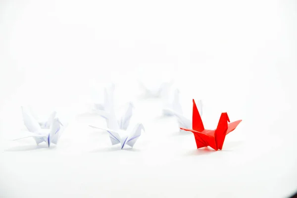 Gros Plan Oiseau Rouge Volant Différemment Travers Groupe Oiseau Blanc — Photo