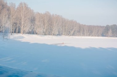 Alan kar altında. Kar alanında kış. Çok kar alanını ve ahşap.