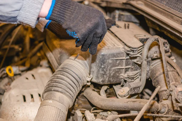 The man repairs the car. Maintenance of the car.