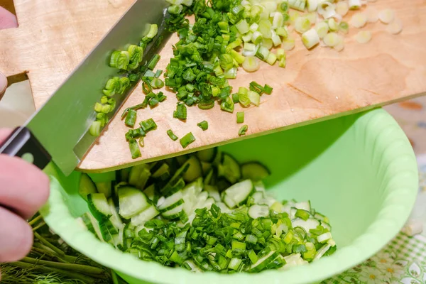 Grünzeug Für Salat Zwiebeln Schneiden Fenchel Gesunde Ernährung Frisches Gemüse — Stockfoto