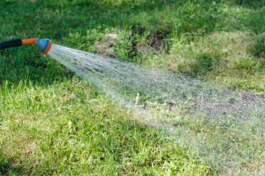 Bir çim su için. Bir çim bir çim üzerinde su için. Kız bir çim sular. Çiçekleri sulamayı
