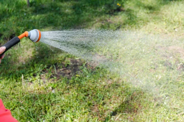 To water a lawn. To water a grass on a lawn. The girl waters a lawn. To water flowers