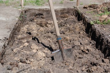 Dünya'nın kürek. Bir kürek ile bir delik. Toprak kazmak için.