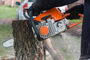 Bir ağaç benzin gördüm gördüm. Adam bir ağaç testereleri. Bir saw.gasoline ile forester gördüm