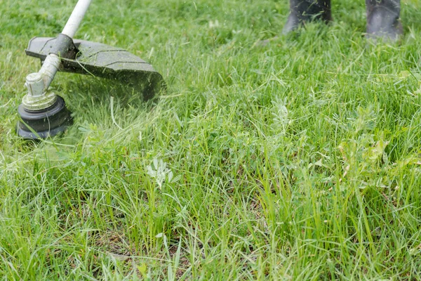 草を切る シュトリヒ草刈機 芝生をカット 芝生をカットします — ストック写真