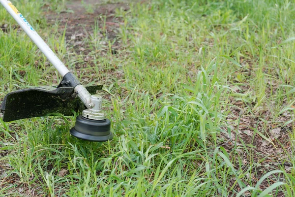 Aan Een Gras Maaien Strich Gras Maaier Snijden Een Gazon — Stockfoto