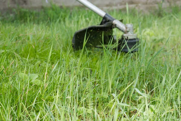 Cut Grass Strich Grass Mower Cut Lawn Man Cuts Lawn — Stock Photo, Image