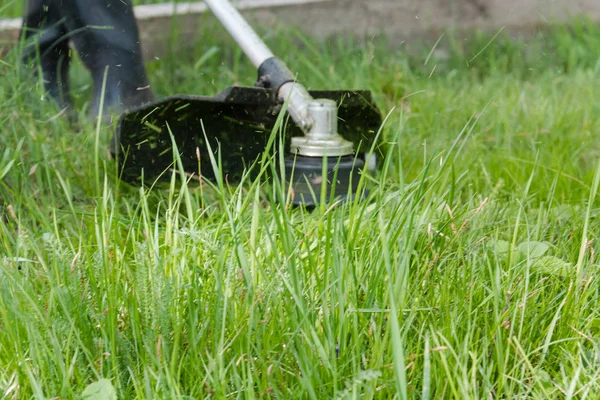 草を切る シュトリヒ草刈機 芝生をカット 芝生をカットします — ストック写真
