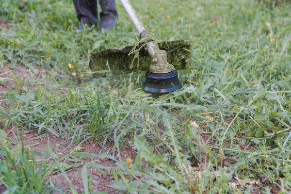 Cortar Uma Grama Cortador Relva Strich Cortar Gramado Homem Corta — Fotografia de Stock