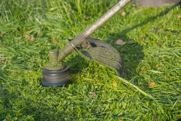 Bir adam yaz aylarında çim bir düzeltici veya çim biçme makinesi ile mows
