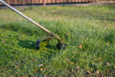 Bir adam yaz aylarında çim bir düzeltici veya çim biçme makinesi ile mows