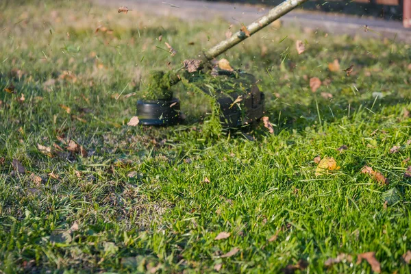 Muž Létě Seká Trávu Vyžínačem Nebo Traktorová Sekačka — Stock fotografie