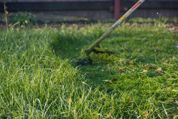 Ein Mann Mäht Sommer Das Gras Mit Einem Trimmer Oder — Stockfoto
