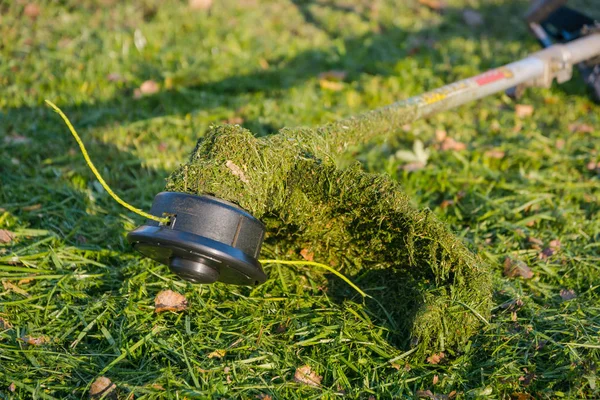 Egy Ember Nyáron Mows Trimmer Vagy Fűnyíró — Stock Fotó